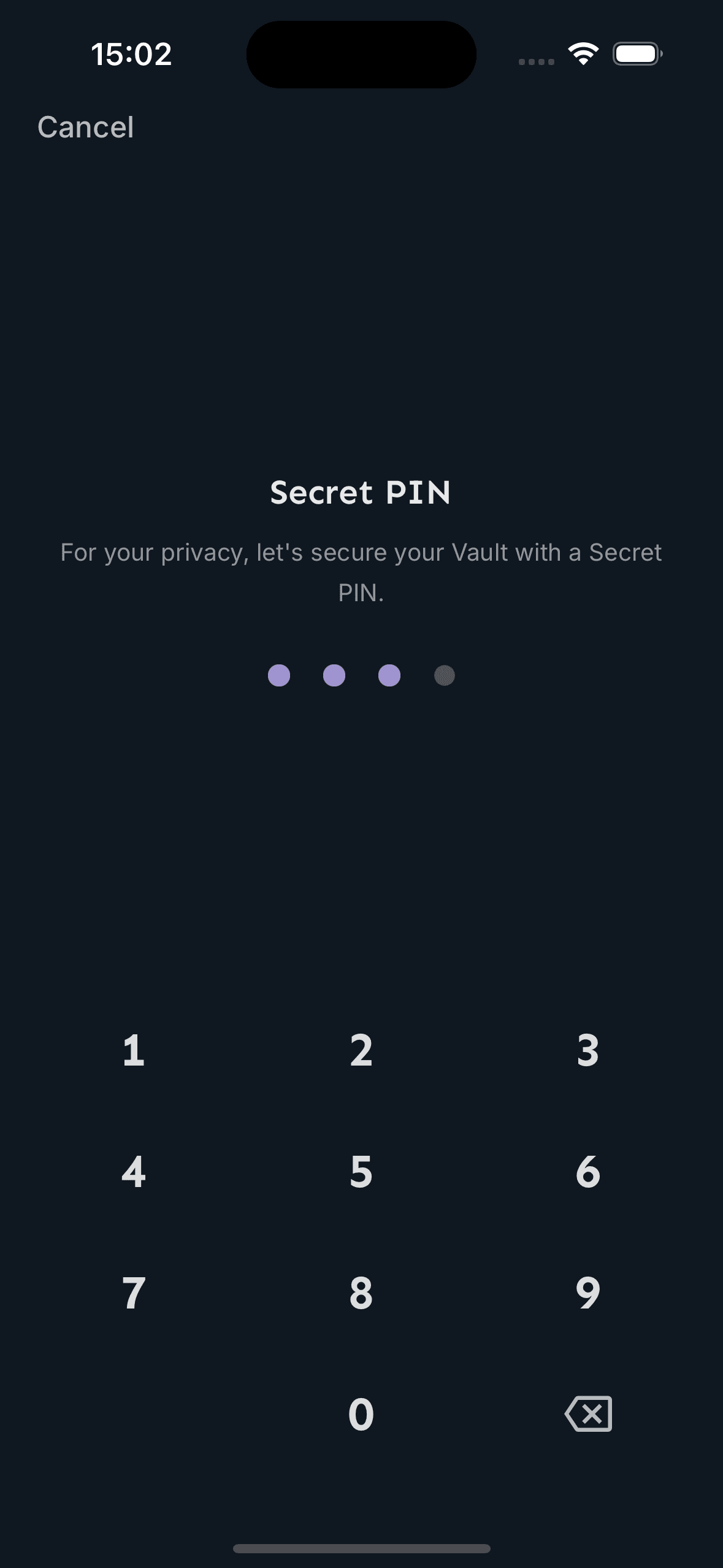 Secret PIN entry screen securing the vault